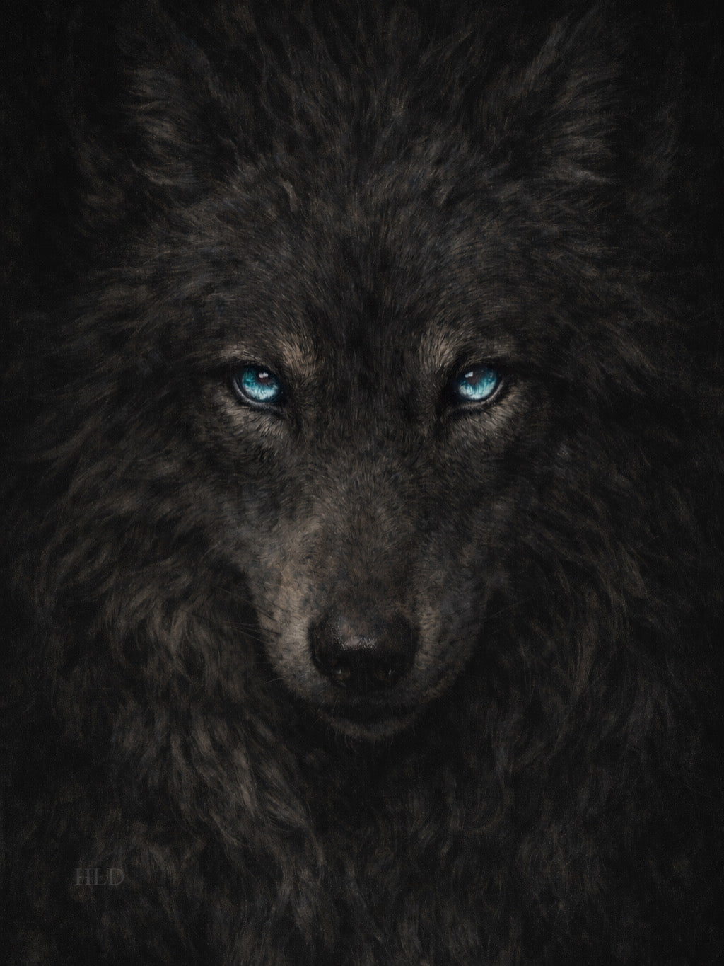 The Black Accord — The Watcher